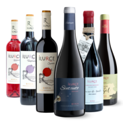 Pack_todos_2022_ilurce-1-300x300